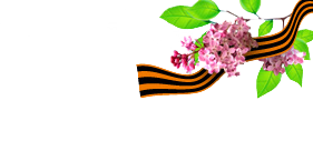 Георгиевская ленточка с цветами